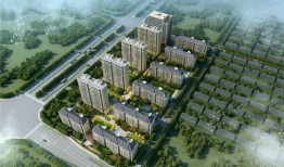 开源嘉苑爆料事件视频最新,揭秘背后真相与争议