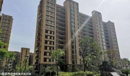 鸿阜园最新爆料新闻,揭秘项目背后的惊人真相